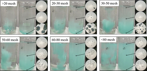 Figure 3. The dispersion of sample 1 in water after sieving with meshes of different numbers.