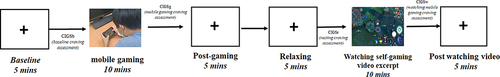 Figure 1 Experimental protocol.