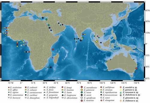 Figure 21. Worldwide distribution of Eocuma, including the newly described species from the Gulf of Guinea. Based on data in the literature: Fischer (Citation1872); Kossmann (Citation1880); Marcusen (Citation1894); Calman (Citation1904, Citation1907a, Citation1907b); Zimmer (Citation1914); Fage (Citation1928, Citation1950); Kurian (Citation1951, Citation1954); Gamô (Citation1967, Citation1976); Le Loeuff and Intès (Citation1972); Day (Citation1978); Kurian and Radha Devi (Citation1983); Mühlenhardt-Siegel (Citation1996); Petrescu (Citation1998, Citation2003); Patel et al. (Citation2003); Corbera et al. (Citation2005); Corbera and Galil (Citation2007); Bochert and Zettler (Citation2011); Kim et al. (Citation2020); Watling and Gerken (Citation2022).