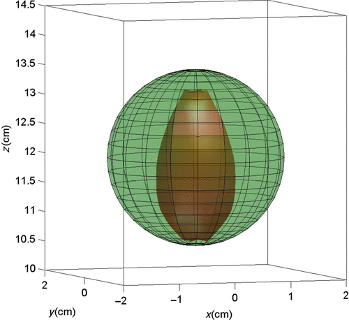 Figure 3. The 3 cm diameter spherical tumour volume and the 42°C isothermal surface calculated in response to the power deposition obtained with waveform diversity and mode scanning, where the initial 33 tumour control points are distributed uniformly throughout the spherical tumour volume in quadrant I. The 42°C isothermal surface, which covers only 16% of the tumour volume, is completely encompassed by the 3 cm diameter spherical tumour model, and no normal tissues are heated above 42°C.