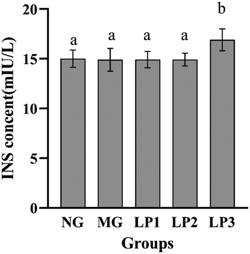 Figure 5. Change of INS levels in pancreas of mice during the experiments. INS level of experimental mice given L. plantarum SCS5 at week 13. Normal group (NG); STZ treatment group (MG); STZ + L. plantarum SCS5 suspension group (LP1); STZ + L. plantarum SCS5 intracellular material group (LP2); STZ + L. plantarum SCS5 intracellular heat-killed material group (LP3). a,bValues in the same column with different superscript letters significantly differ at p < .05.