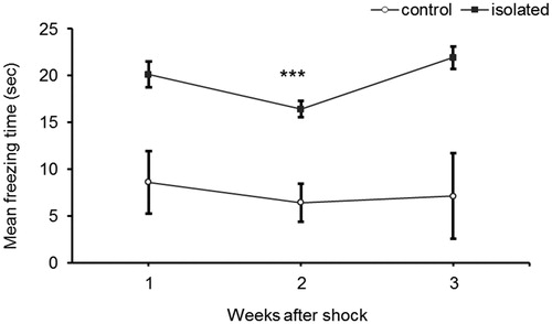 Figure 3. Effect of social isolation on freezing time following shock reminders. Mice were subjected to a stress paradigm. Mean freezing time (sec) was measured once a week for 3 weeks following the electric shock and reminders. The socially isolated mice displayed a pattern of significantly increased freezing time over the course of the test. Values are displayed as mean ± SEM (n  =  10 for each group, p < .001). ***p < .001.