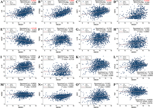 Figure 2 Correlation between the ABCB1 gene and immune genes in 1217 breast cancer samples from the TCGA. (A) IL6, (B) PTGS2, (C) CSF1 (M-CSF), (D) CSF3, (E) VEGFA, (F) TGFB1, (G) IL1B, (H) IL4, (I) IL10, (J) CSF2 (GM-CSF), (K) FLT3, (L) KITLG, (M) NOS2, (N) ARG1, (O) IDO1, and (P) TNF. MDSC, myeloid-derived suppressor cell; TCGA, The Cancer Genome Atlas.