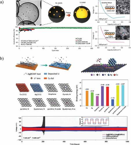 Figure 10. A) Schematic illustration and an SEM image that show the Au nanoparticles inside hollow carbon spheres followed by Li growth after cycling. The right-side images present the nucleation overpotential of the hollow carbon. The inset schematics and SEM images show the Au nanoparticles inside the hollow carbon and the smooth Li deposition compared to a carbon shell. Below are the electrochemical performances of different electrodes when cycled in alkyl carbonate electrolyte. Scale bare for TEM in (a) is 100 nm and all scale bares for inset SEM images are 10 µm Reproduced with permission from [Citation104], copyright 2016, Nature. b) Schematic illustration showing the Li deposition behaviour on the Ag@CMFs. The schematic on the top right explains the Li deposition process on Ag@CMFs. The middle schematics model the Ag, Cu, graphene, and nitrogen-doped carbons. A summary of the calculated binding energies of Li atom with Cu, Ag, graphene, and nitrogen-doped carbons is also shown (middle right side). The bottom graph shows the electrochemical performances of the Cu, Ag@CMFs and CMFs at 1 mA cm −2 Reproduced with permission from [Citation105], copyright 2021, Science.