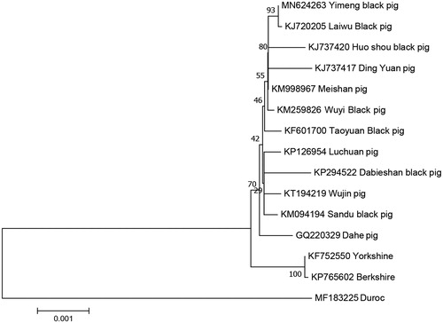 Figure 1. Neighbor-joining tree based on combining the complete mitochondrial genome sequences of 18 species by using MEGA 7.0. Bootstrap values based on 1000 replicates are shown at branch nodes.