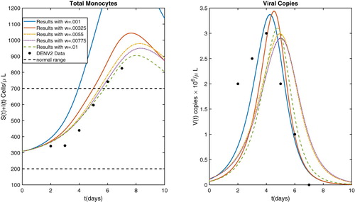 Figure 2. Model results after parameter estimation with several values of w along with DENV2 data.