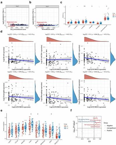 Figure 6. Relationship between LINC00313 and immune cells and immune pathways in the TGCT immune microenvironment. (A) Correlation between LINC00313 and immune score. (B) Correlation between LINC00313 and stromal score. (C) Difference in immune cell score between high and low expression of LINC00313 in TGCT patients. (D) Correlation between LINC00313 and immune cell enrichment scores. (E) Differential expression of immune checkpoint genes between high and low expression of LINC00313 in TGCT patients. (F) Correlation between LINC00313 and the enrichment scores of various immune-related pathways. G1: LINC00313 high group; G2: LINC00313 low group. Est: Estimation; ES: Enrichment score.