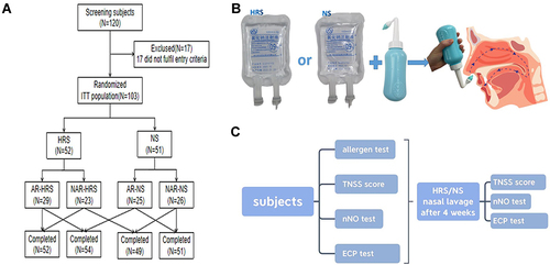 Figure 1 Method and Study Procedure. (A) Study grouping. (B) Procedure for Nasal irrigation. (C) Study Procedure.