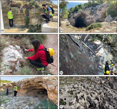 Figure 2. Photo documentation of geomorphological field activities: (a) detail of field work at I Pagliai; (b) karst depression on the calcareous bedrock; (c) detail of geomechanical investigations at Cala degli Inglesi; (d) V-shaped gully interrupted by artificial wooden barriers, at Cala Matano; (e) emerged karst cave at Cala della Tramontana; (f) dolomitic limestone outcropping at Punta Secca.