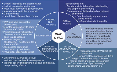 Fig. 1 Intersections between violence against women (VAW) and violence against children (VAC).