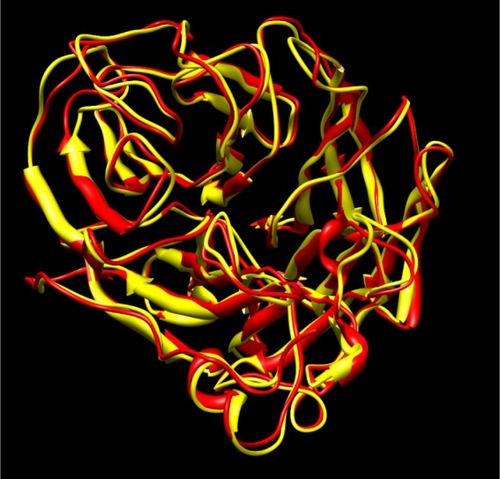 Figure 1 Overlay of H5N1 crystal structure (2hu0, yellow) and the modeled structure of H1N1 (red). The root-mean-square deviation of the two structures is 0.81 Å.