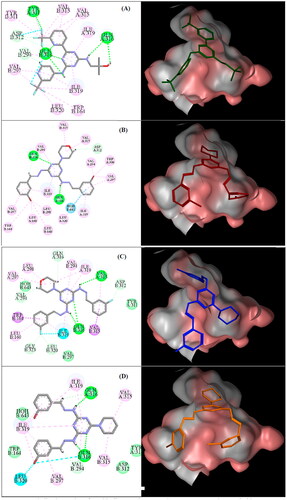 Figure 11. Binding interaction of enasidenib (A) and compounds 6c (B), 6e (C), and 7c (D) inside IDH2R140Q allosteric site (PDB ID: 5I96). 2D pose binding of the compound (left), green lines (H-bond), pink lines (hydrophobic interactions), cyan lines (halogen bond), and 3D surface representation of the compound in the allosteric site (right).