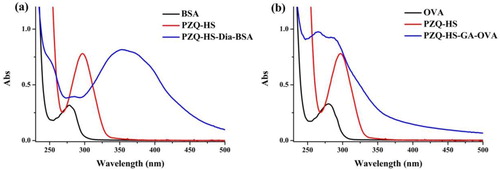 Figure 2. Result of UV/vis spectrometry for, (a) PZQ-HS, BSA, and PZA-HS-Dia-BSA, and (b) PZQ-HS, OVA, and PZQ-HS-GA-OVA.