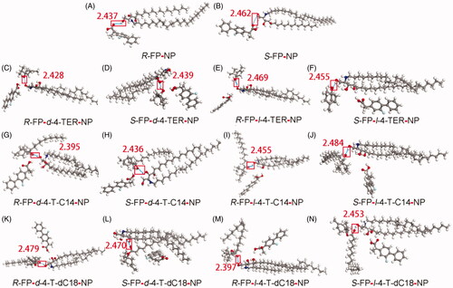 Figure 3. Interaction of the CER-NP assemblies with molecular models of drugs and enhancers. Carbon atoms were colored gray, oxygen atoms red, nitrogen atoms blue, hydrogen atoms white, fluorine atoms cyan. These figures are screenshots of the CER-NP assemblies. H-bonds were presented in light blue dotted lines.