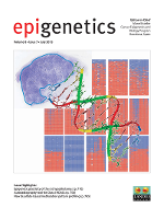 Cover image for Epigenetics, Volume 8, Issue 7, 2013