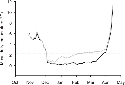 Figure 4. Mean daily water temperature taken at the sediment-water interface at a depth of approximately 4 m in East Krause Lake (black line) and Middle Lynn Lake (grey line) during the 2009–2010 winter. The grey, dashed horizontal line represents the threshold at which mortality has been reported for gizzard shad.