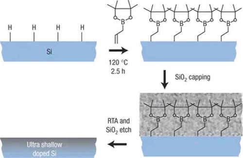 Figure 1. Illustration of monolayer doping process. Silicon surfaces will be terminated with Si-H after dipping in HF solution. Boron-containing molecules will be grafted on the silicon surfaces via covelent bonds at elevated temperature for hours. SiO2 capping layer is then deposited on the silicon surface to prevent the boron dopants from being driven off the surfaces during the following rapid thermal treatment. Figure adopted from ref [Citation20]