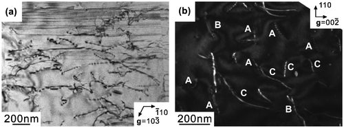 Figure 10. Deformation microstructures of (a) MoSi2 and (b) Mo5Si3 in a [001]MoSi2-oriented specimen of a binary DS eutectic composite deformed at 1100 °C.