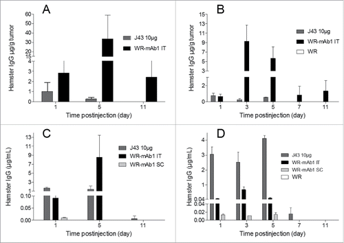 Figure 6. In vivo expression of mAb1 after injection of WR-mAb1. C57BL/6 mice were implanted SC with either 3 105 B16F10 (A, C) or 8 105 MCA 205 cells (B, D). When tumors reached 100–200 mm2 (B16F10) or 40–60 mm2 (MCA 205), 107 pfu of WR-mAb1 or WR (negative control) or J43 (BioXcell, 10 µg) were injected IT. For mice without tumor, viruses were injected S.C. at the same time points. For MCA 205 tumors only, a second injection of the virus was performed 3 d after the first one. Blood, and tumors of three mice were collected at each time point i.e.: Days 1, 3 (MCA 205 only), 5, 7 (MCA 205 only) and 11 after virus or antibody injections. Concentrations of recombinant mAb or J43 were measured in tumor homogenates (A, B) or in sera (C, D) by sandwich ELISA using anti-hamster IgG antibodies and J43 as standard. The limit of quantification (LOQ = 2-fold the mean of blanks) of the ELISA was 2 ng/mL. The negative controls had no detectable hamster IgG (i.e., concentrations below the LOQ). The mean and the standard deviation of three measurements are represented.