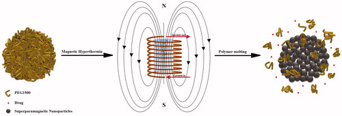 Figure 1. A schematic of the triggering mechanism from the porous core-shell nanostructures. Melting of the protective shell results in formation of preferred routes for controlled drug release.