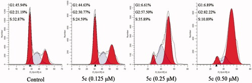 Figure 6. Effect of compound 5c on cell cycle arrest in MCF-7 cells.