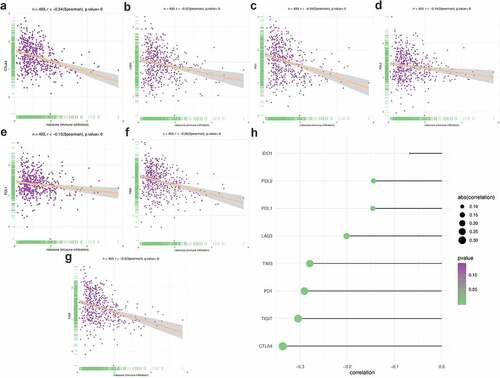 Figure 8. Correlation between PRS and the expression of immune checkpoint regulators. (a-g) The association between PRS and the expression of each immune checkpoint regulators. (h) The landscape of the association between PRS and some immune checkpoint regulators