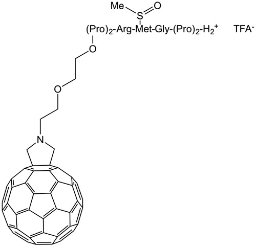 Figure 16. Structure of [60]fullereo-peptide with oxidized methionineCitation30.