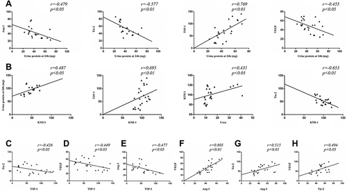 Figure 8 Correlation analysis results of various indicators. (A) Linear chart of correlation analysis between 24-hour urine protein and TSP-1, VEGF, Tie-2, and Ang-1. (B) Linear chart of correlation analysis between KIM-1 and 24-hour urine protein, TSP-1, Urea, and Tie-2. (C and D) Linear correlation analysis between TSP-1, Tie-2, and VEGF. (E and F) Linear correlation analysis between Ang-1, TSP-1, and VEGF. (G and H) Linear correlation analysis between Tie-2, Ang-1, and VEGF.