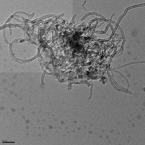 Figure 4. TEM image of PEI-MWNT.