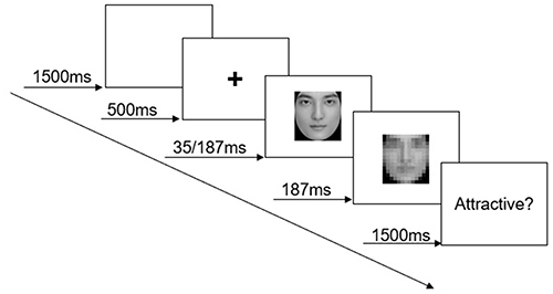 Figure 2 Facial attractiveness evaluation task for Experiment 1. Each trial began with a blank screen (1500ms), followed by a fixation cross (500ms), the face image (35/187ms), a mask image (187ms, scrambled version of the face image), and then a response screen for 1500ms.