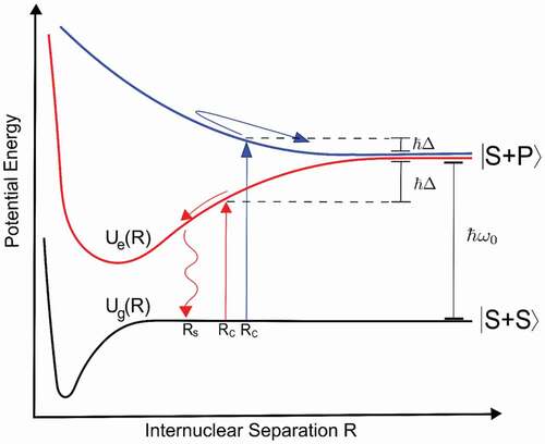 Figure 3. Homo-nuclear light assisted collisions in alkali metals. The excited state has a long range C3R3 asymptote. When light, that is red detuned from the free atom resonance, excites an atomic pair (vertical red arrow), it is transferred to the attractive excited state molecular interaction potential, from which they can spontaneously decay (red serpentine arrow). Blue detuned light (blue vertical arrow) will excite the pair to the repulsive interaction potential. Figure from [Citation47].