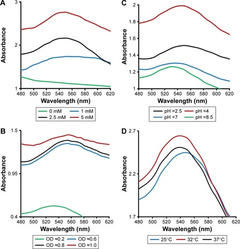 Figure 5 Effects of reaction conditions on AuNPs biosynthesis.Notes: The absorption spectral analysis of AuNPs formation over the wavelength range of 480–620 nm after 8 h of reaction under different conditions: (A) initial concentration of Au(III), (B) cell density (OD600 nm) of Deinococcus radiodurans, (C) initial pH and (D) incubation temperature.Abbreviations: AuNPs, gold nanoparticles; OD, optical density.