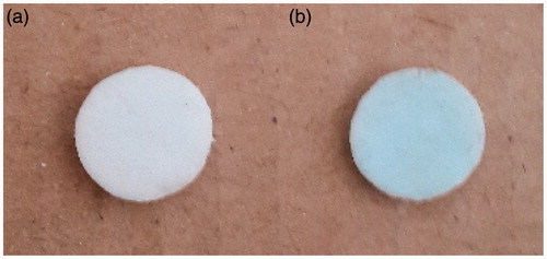 Figure 1. Images of cryogels before (a) and after (b) Cu(II) immobilization.