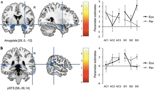 Figure 3. Amygdala and pSTS activity during ecological and perceptual SSU, respectively