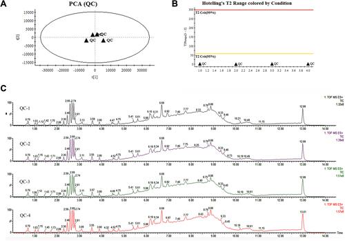 Figure 9 The quality control (QC) analysis for the metabolomics. (A) The principal component analysis (PCA) was used to score the sample. Each point in the plot corresponds to an observation. Observations near each other in the plot mean similar; observations far away from each other mean dissimilar. (B) The Hotelling’s T2 Range was also used to evaluate the distribution; the plot shows how far away an observation is from the center of the model. (C) The total ion chromatogram (TIC) of QC samples.