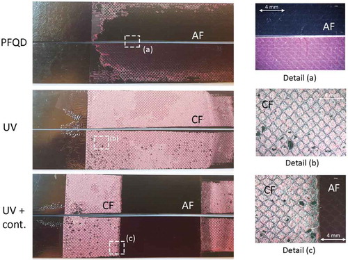 Figure 14. Typical fracture surfaces after DCB tests (CF – cohesive failure, AF – adhesive failure).