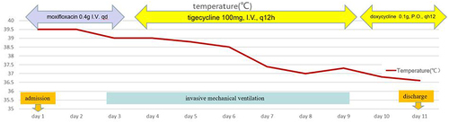 Figure 4 Body temperature changes and treatment process of case 2: the patient’s temperature returned to normal after the application of high-dose tigecycline for 4 days.