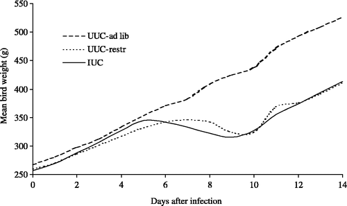Figure 1. Growth curves, from 25 days of age, of healthy birds (UUC-ad lib), birds infected on day 0 with blood-induced P. gallinaceum (IUC), and pair-fed healthy birds (UUC-restr) (experiment 449).