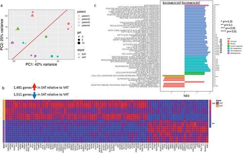 Figure 4. Depot-specific adipocyte transcriptional phenotypes in hydrogel culture.