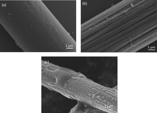 Figure 3. SEM images of (a) CF, (b) CF-OH and (c) MAH-g-CF.