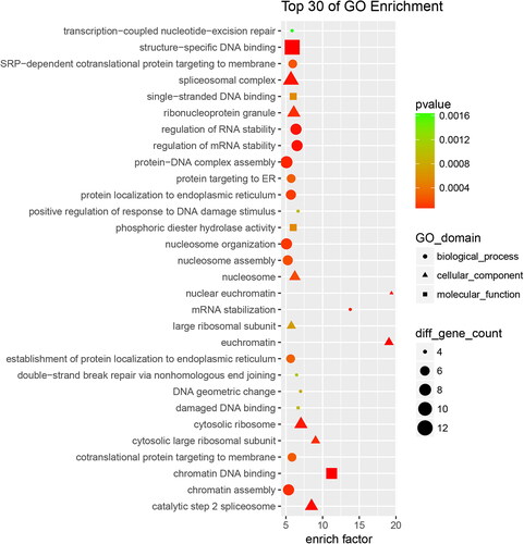 Figure 3. Up-regulated proteins with Go functional analysis of the RIF vs. RIS.