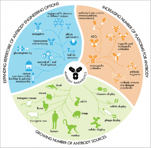 Figure 2. An expanding toolbox for the generation of therapeutic antibodies that meet modern biopharmaceutical requirements. Therapeutic antibodies can be generated in many ways and capturing an antibody's source in a single syllable is therefore no longer possible.