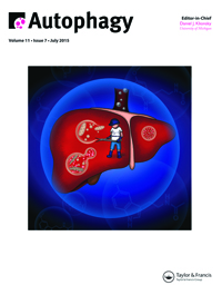 Cover image for Autophagy, Volume 11, Issue 7, 2015