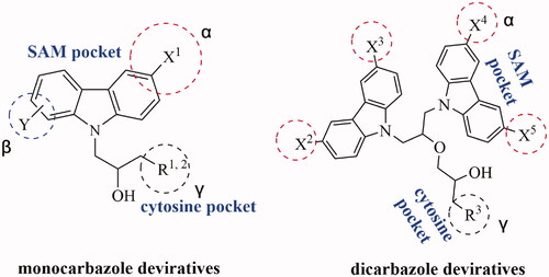 Figure 2. Schematic showing design for binding DNMT1 pharmacophore.