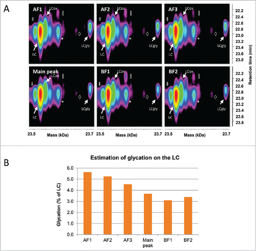 Figure 4. Characterization of the LC species by LC-UV/ESI-MS. (A) Time-resolved deconvolution of the LC species separated by reversed phase chromatography for the different CEX fractions. The most intense LC signal (red) corresponds to the unmodified LC, while the rightmost signal of each panel with the mass of LC+162 Da corresponds to the glycated LC (LCgly). LCox: oxidized LC, *: Guanidine adduct, ‡: In-source dehydration, ║: overalkylation, ◊: TFA adduct. (B) The relative abundance of the glycation on the LC was estimated as a percentage of the total volume of both glycated and unmodified LC species. The basic fractions contain less glycated LC than acidic fractions. Maximum experimental variation: ± 0.01% (coefficient of variation < 3.5%).