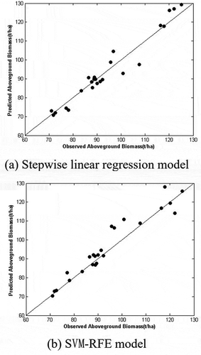 Figure 5. Measured biomass vs. modeled biomass for coniferous forest species. Each circle corresponds to a measurement plot. The dashed 1:1 line represents an optimal model fit.