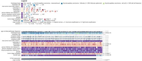 Figure 2 Association between CTSH mRNA expression and clinical data of THCA patients (n=568). From top to bottom, it was the legend, the clinical data, the expression and the copy number data. Samples are arranged from left to right. The samples are ordered by the expression of CTSH. So in this case, samples with low CTSH expression are located on the left side of the plot, whereas samples with high CTSH expression are on the right. *P<0.05, **P<0.01 and ***P<0.001.