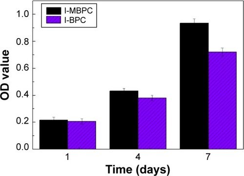 Figure 9 Proliferation of MC3T3-E1 cells cultivated on l-MBPC and l-BPC scaffolds for 1 day, 4 days, and 7 days.Note: The data represent the mean ± standard deviation (n=5).Abbreviations: l-MBPC, Li-containing mesoporous bioglass/mPEG-PLGA-b-PLL composite; l-BPC, Li-containing bioglass/mPEG-PLGA-b-PLL composite; OD, mean absorbance values.