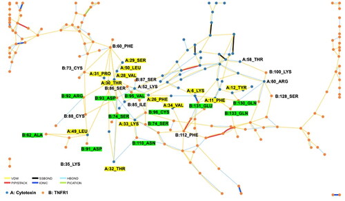 Figure 6. A schematic diagram of the residue interaction network between conserved cytotoxin (CTX, annotated as A) and tumor necrosis factor receptor 1 (TNFR1, annotated as B) in CE3. This interaction network was generated using RING 2.0. The interacting chains are shown as different colored lines representing different non-covalent forces. The amino acid residues involved in the direct interaction between CTX and TNFR1 were labeled. The yellow residues indicate the functional loops of CTX, while the green residues represent the TNF-α ligand binding sites of TNFR1. Abbreviations: VDW, Van der Waals; SSBOND, disulfide bonds; HBOND, hydrogen bonding; PIPISTACK, π-stacking; IONIC, ionic bonds; PICATION, π-cation.