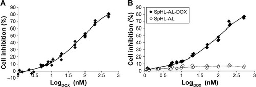 Figure 6 MDA-MB-231 cell-inhibition curves after 48 hours’ incubation with free DOX (A) or SpHL-AL-DOX (B).Notes: Blank liposomes (SpHL-AL) were submitted to the same dilution of SpHL-AL-DOX, and inhibition curves represent the effect of the formulation alone for each dilution of SpHL-AL-DOX.Abbreviations: DOX, doxorubicin; SpHL-AL-DOX, alendronate-coated long-circulating pH-sensitive liposomes containing DOX.